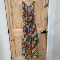 WOMENS POTTER'S POT MULTI COLOR FLORAL SL DRESS S