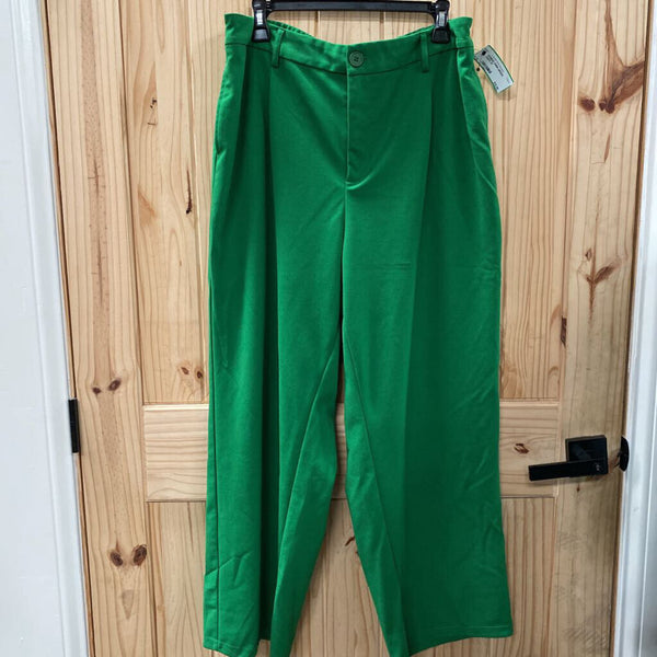 WOMENS SHEIN GREEN PANTS 2X