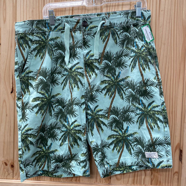 MENS VINTAGE GENES MINT SHORTS W/PALM TREES 36