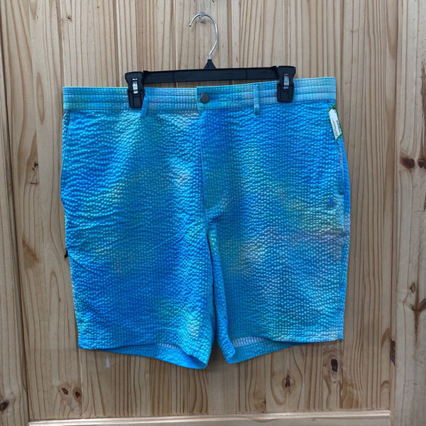 MENS PENGUIN SHORTS BLUE/LT GREEN 36