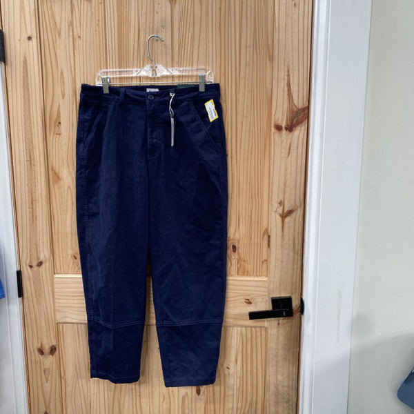 WOMENS ALPINE DESIGN NAVY BLUE PANTS 10