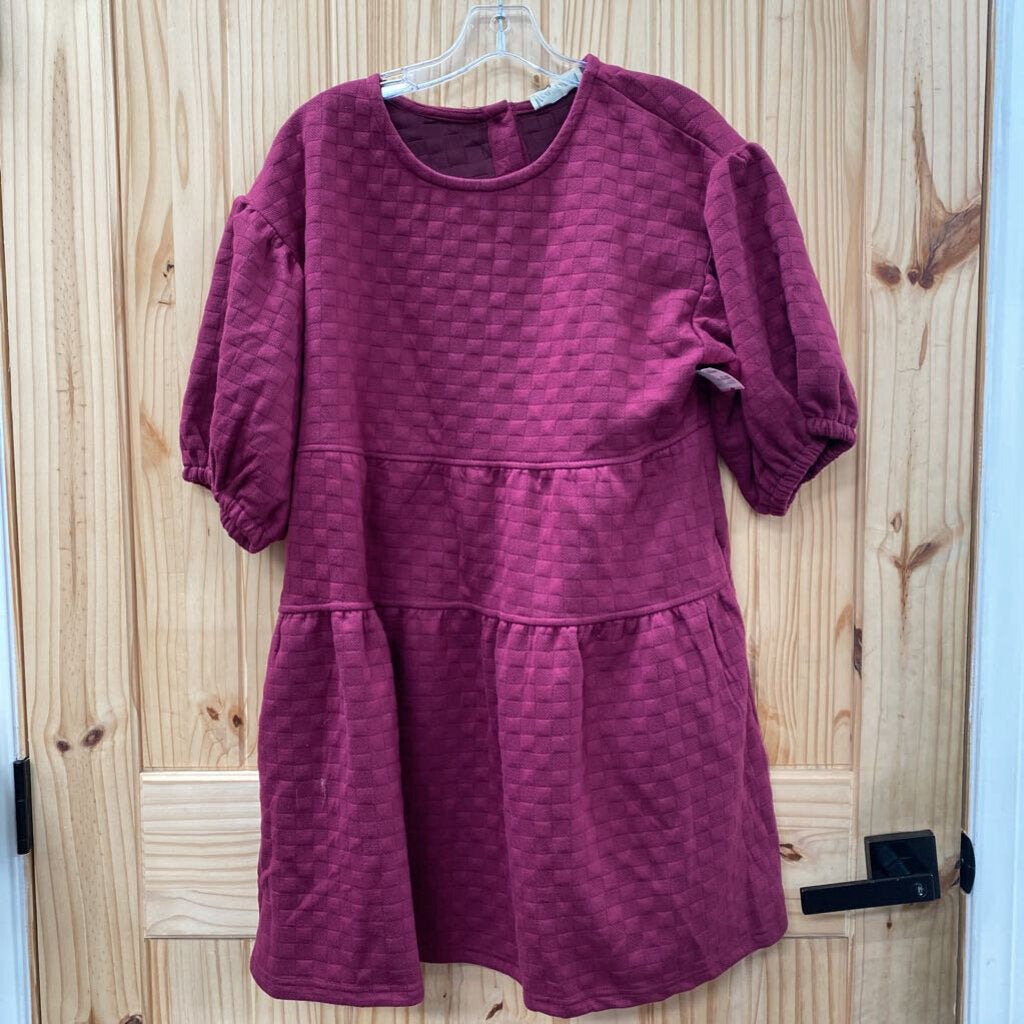 WOMENS NEW IN PLUM DRESS L NWT