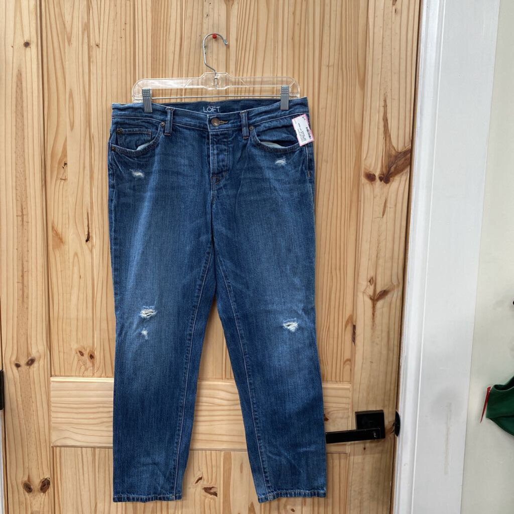 WOMENS THE LOFT DENIM DIST. JEANS 8