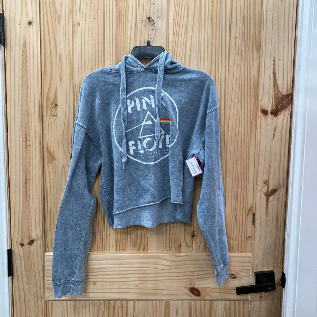 WOMENS PINK FLOYD GREY CROP TOP HOODIE M