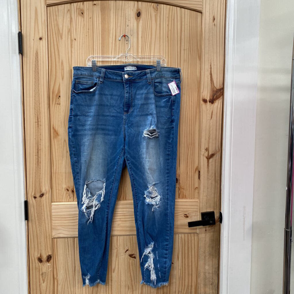 WOMENS MS CELLO DENIM DIST. JEANS 20