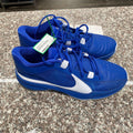 MENS NIKES GIANNIS ANTETOKOUNMPO ROYAL BLUE/WHITE 11 LIKE NEW