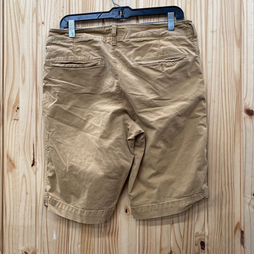 MENS AMERICAN EGALE CHESTNUT SHORTS 31