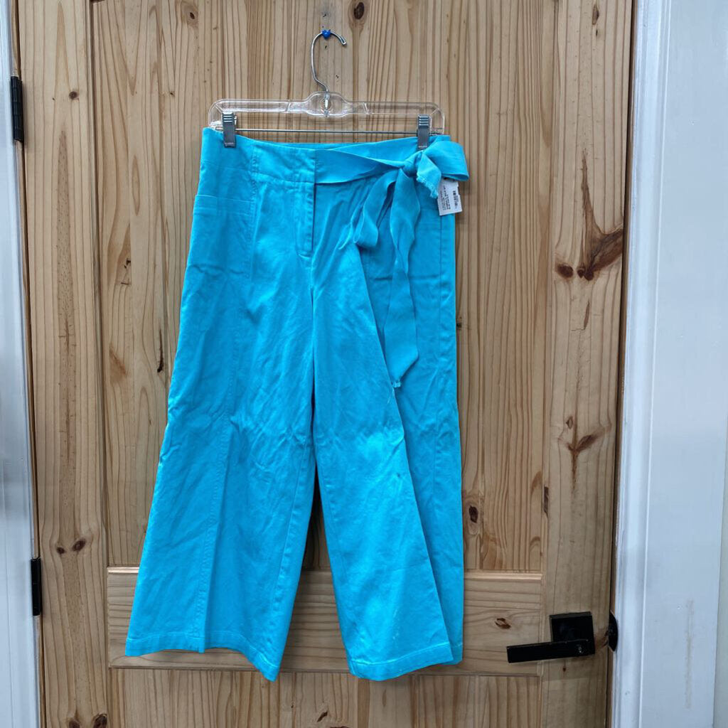 WOMENS FL MALIK SKY BLUE PANTS 8
