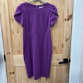 WOMENS CALVIN KLEIN PURPLE DRESS 12