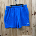 NORTHFACE MENS L SHORT BLUE NWT