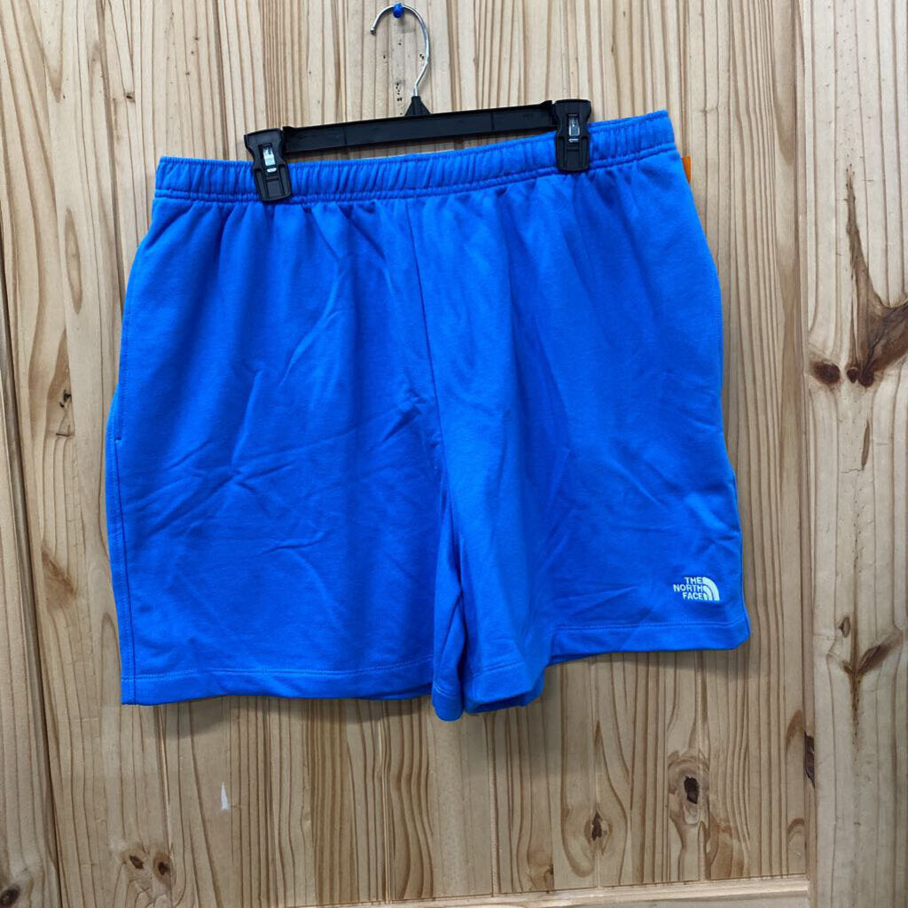 NORTHFACE MENS L SHORT BLUE NWT