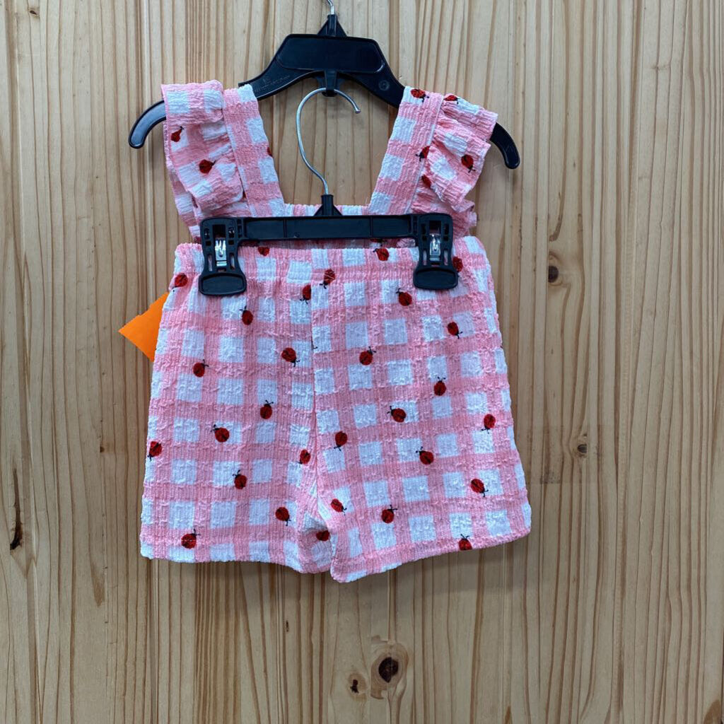 GIRLS MADISON LAYNE 2PC SET PINK/WHITE CHECKERED SET W/LADYBUGS 3T