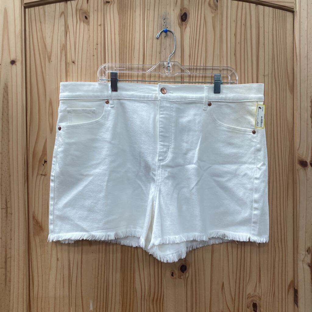 WOMENS LOFT WHITE SHORTS 18